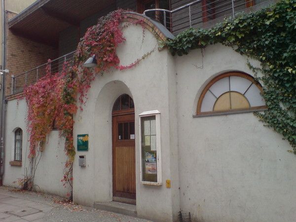 Bilder Restaurant Krokodil