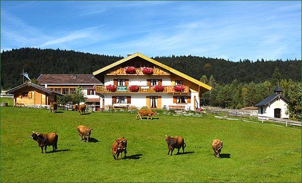 Bilder Restaurant Luttenseehof