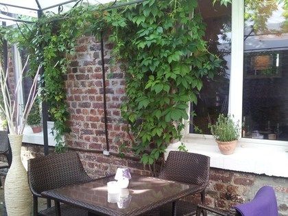 Bilder Restaurant Lavendel