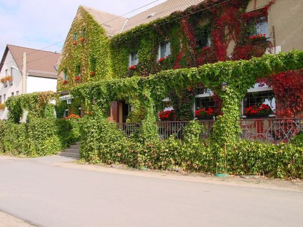 Bilder Restaurant Am Talkenberger Hof Landgasthof