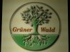 Grüner Wald