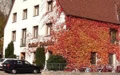 Bilder Restaurant Gasthof Steinhaus