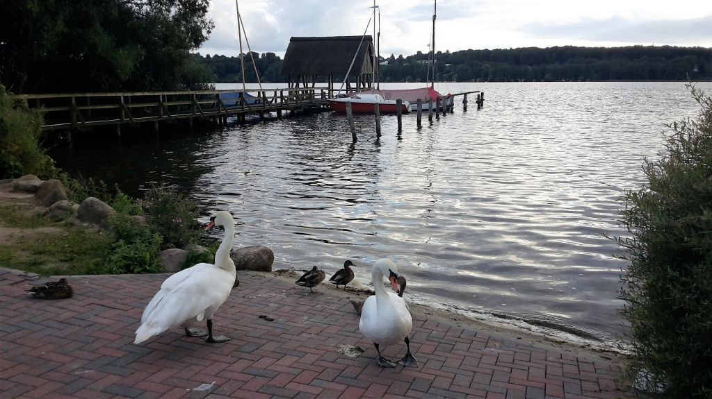 Bilder Restaurant Römnitzer Mühle