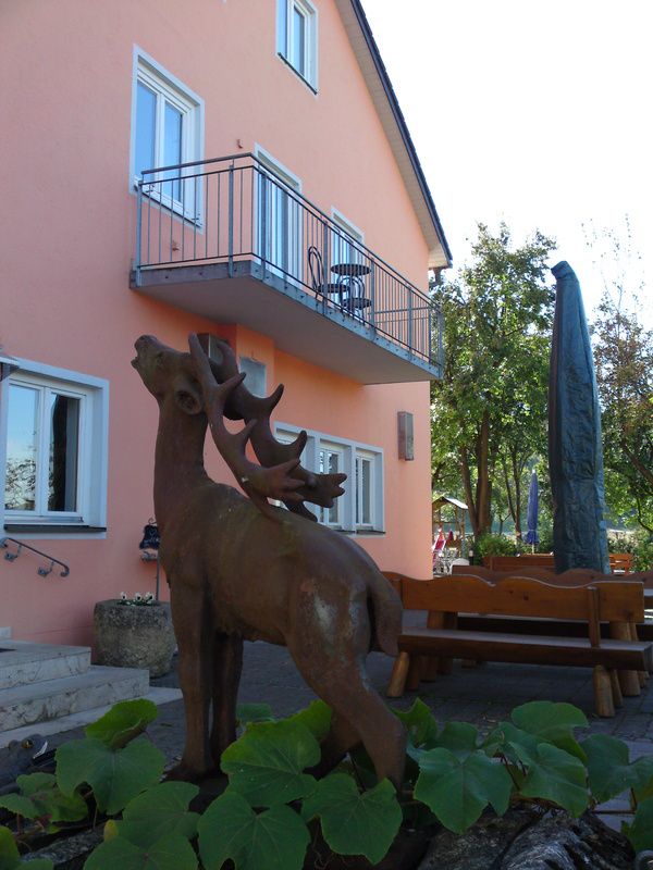 Bilder Restaurant Gasthof zum Hirschen Hirschenwirt in Wasserzell