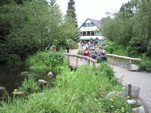 Bilder Restaurant Wildpark Schwarze Berge