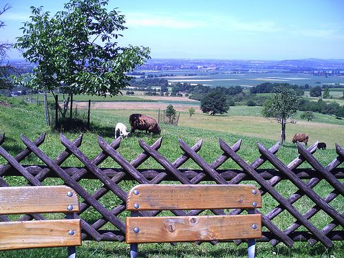 Bilder Restaurant Gotthardhof Landgasthof