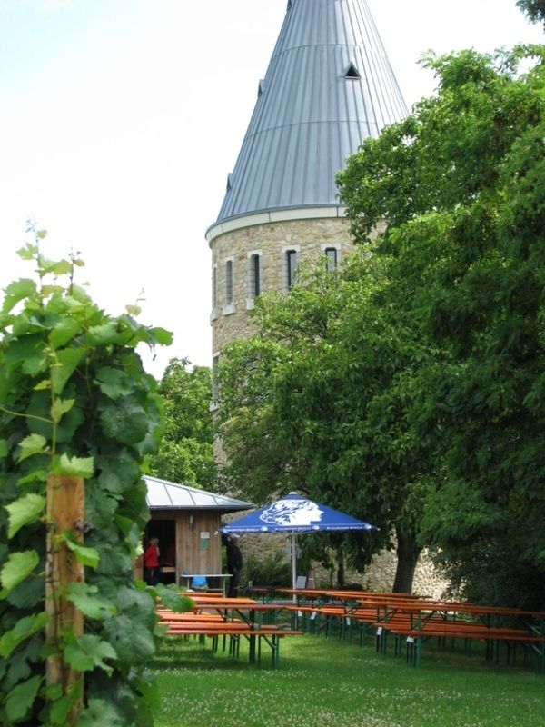 Bilder Restaurant Flörsheimer Warte