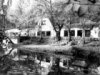 Bilder Restaurant Birkenhain