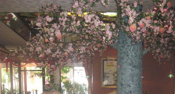 Bilder Restaurant Vietnam Restaurant Bambus