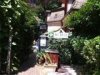 Nel Parco Ristorante Nel Parco Ristorante