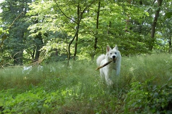 Bilder Restaurant Schneiders Erlebnisgarten Bistro und Café