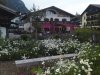 Mohrenplatz Wirtshaus und Schmankerlmarkt