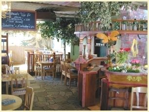 Bilder Restaurant Beim Olivenbauer Taverne