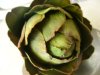 Bilder ARTischocke