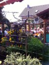 Bilder Restaurant Weinschänke Rebenhof