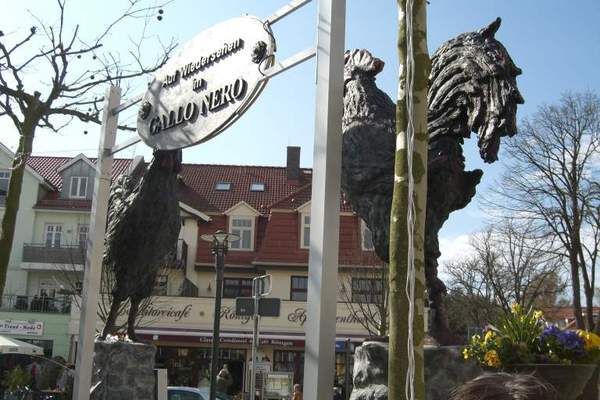 Bilder Restaurant Gallo Nero