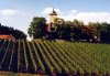 Schloss Hallburg Schloss Hallburg