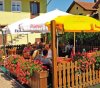 Grüner Baum Grüner Baum