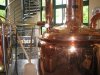Bilder Leuchtturm Wirtshaus - Brauerei