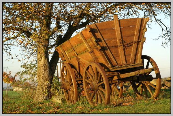 Bilder Restaurant Landhaus Auerbachs Mühle