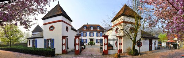 Bilder Restaurant Annahof