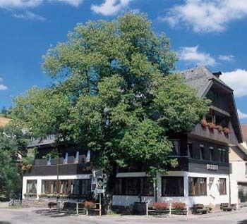 Bilder Restaurant Adler