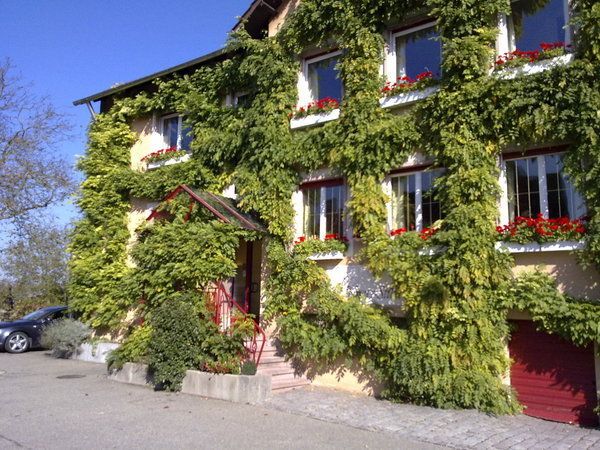 Bilder Restaurant Kreuz Stübl