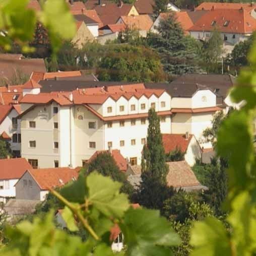 Bilder Restaurant Pfalzhotel Asselheim -Scharfes Eck