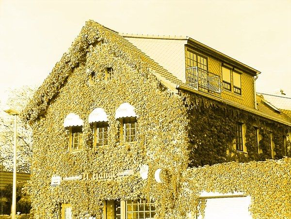 Bilder Restaurant Melange Restaurant - Biergarten