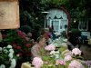 Bilder Restaurant Alte Kanzlei