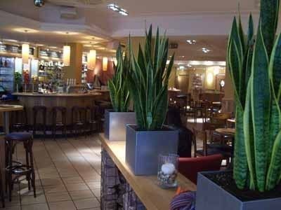 Bilder Restaurant ALEX Bochum